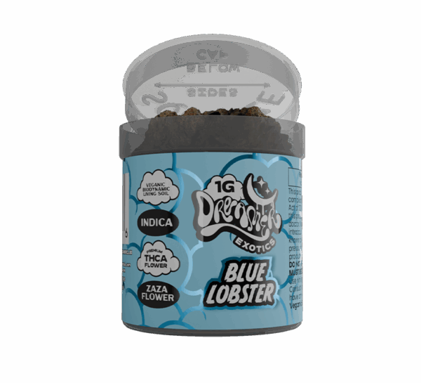 Blue Lobster - Dreamer 1G Exotics